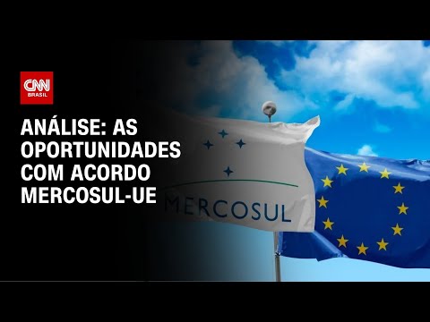 Análise: Os impactos do acordo Mercosul-UE ao Brasil | WW