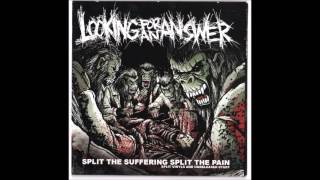 Looking For An Answer - Split the Suffering, Split the Pain COMP (2010) Full Album HQ (Grindcore)