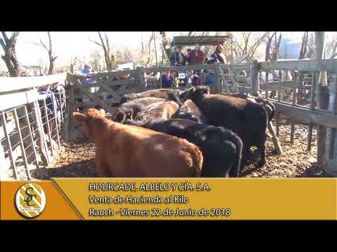22-06-18 Venta de Gordo - Hourcade, Albelo y Cía. S.A. - Rauch