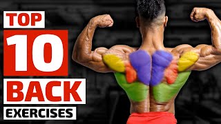 Download lagu Top Trainers Agree, These are the 10 Best Exercises for Building a Bigger Back mp3