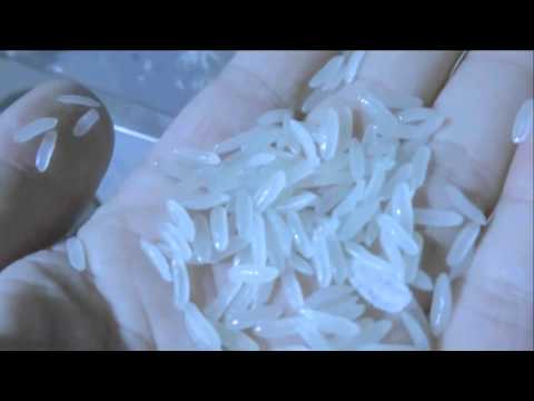 download lagu mp3 mp4 Rice Flakes Machine, download lagu Rice Flakes Machine gratis, unduh video klip Rice Flakes Machine