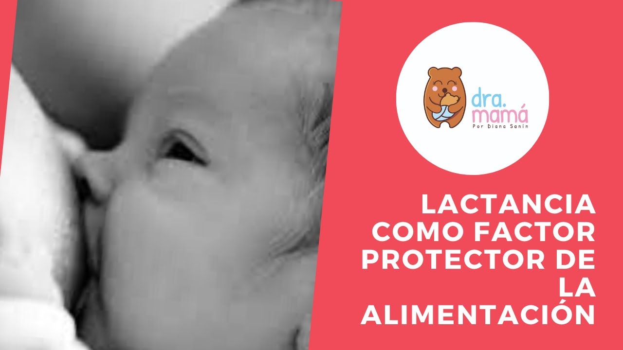 Diana Catalina Sanín Peña-6