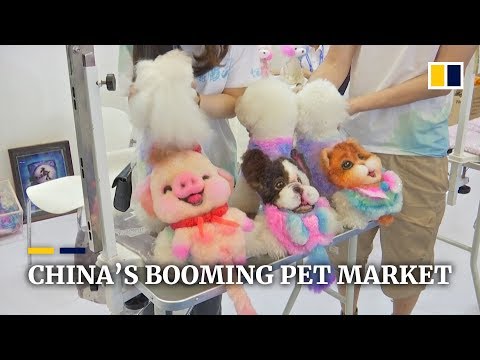 download lagu mp3 mp4 Shanghai Pet Fair, download lagu Shanghai Pet Fair gratis, unduh video klip Shanghai Pet Fair