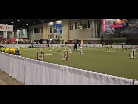 Ricochet 2023 Agility Invitationals round 1