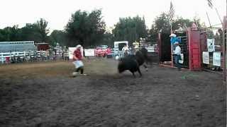 preview picture of video 'Ty Rogers vs Cheap Shot, TMRA Sr. Mini Bull, 7/16'