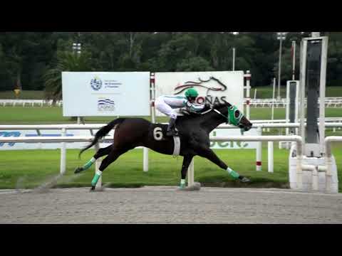 220430 c10 LA EMPATIA