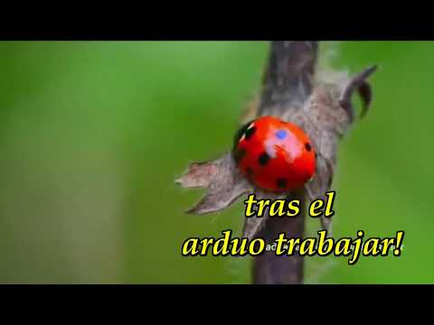 544 Hoy el sábado glorioso