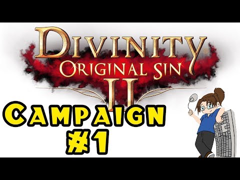 Let's Try -- Divinity: Original Sin 2 Campaign! -- Part 1