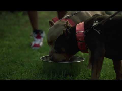 2ktrev-PRESSURE (OFFICIAL VIDEO)