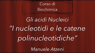 Biochimica (I nucleotidi)