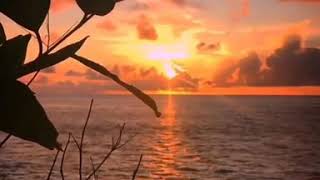 Download lagu Story wa sunset 30 detik mp3
