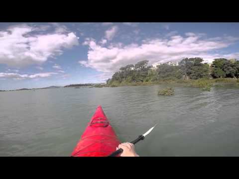 SOLD - 41 Burwood Crescent, Remuera - Jill Jackson and Emma John