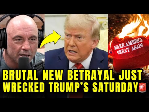 WATCH: Joe Rogan Just BETRAYED Trump In BRUTAL New SHOWDOWN🚨