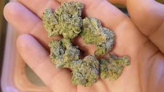 Blue Spring Cookies 27% (its DANK)