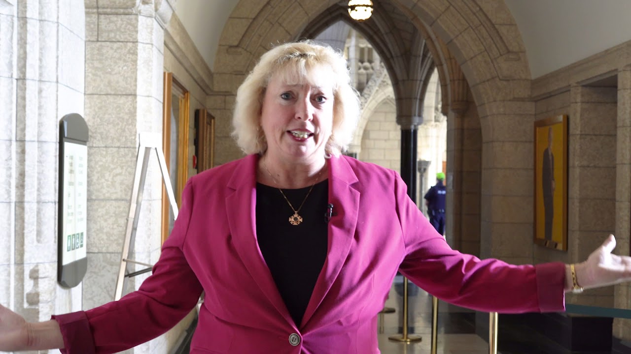 Marilyn Gladu rants about the (in)action of the Liberal Government in February 2018