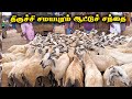திருச்சி சமயபுரம் ஆட்டுச் சந்தை Samayapuram 