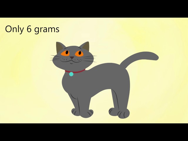 أفضل جهاز تعقب القطط من تاب كات البريطانية