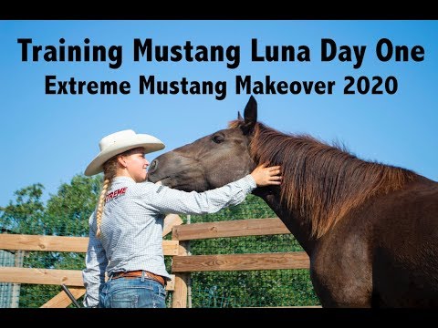 Training Mustang Luna Day One | Extreme Mustang Makeover 2020 | Episode Five