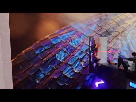 Wall Printing Demo – DODS DesignWorks