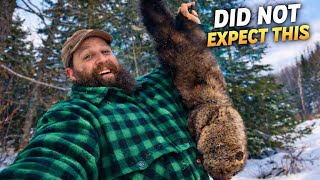 Did Not Expect This : A Day on the Maine Trapline