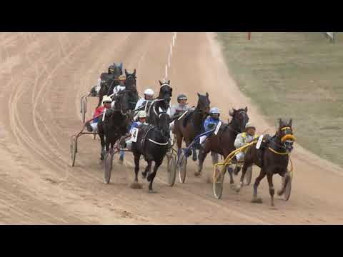 2018.03.24 3. futam ügető Kincsem Park