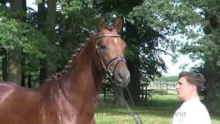 Video von Timberland