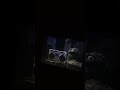 Sesame Street Episode 2709 Ending