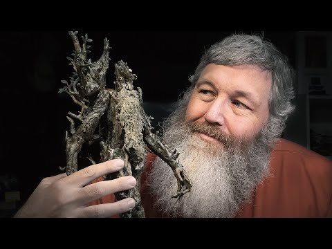 Treebeard Model, Using Real Lichens!