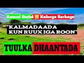 Dhaanto Hore Kalmadaada Kun Ruux Iga Roon AUDIO By TUULKA DHAANTADA
