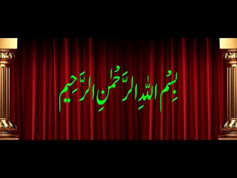 Ayesha Tajwar 1st Birthday😊