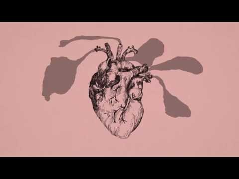 José González - Hand On Your Heart (Lyric Video)