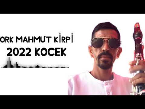 ORK MAHMUT KİRPİ 2022 KOCEK