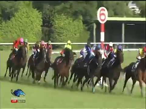 2014.06.01 Meguro Kinen - Meiner Medalist