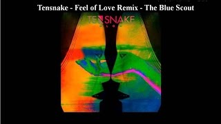 Tensnake - Feel of Love Remix - The Blue Scout