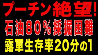 2025/9/29　プーチン窮地! 石油80％採掘困難＋露軍生存率20分の1