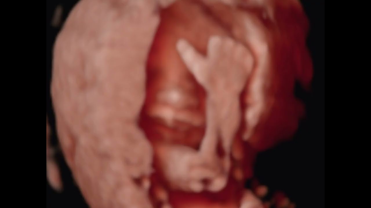 Şahver Melek Avcı Orhun-17