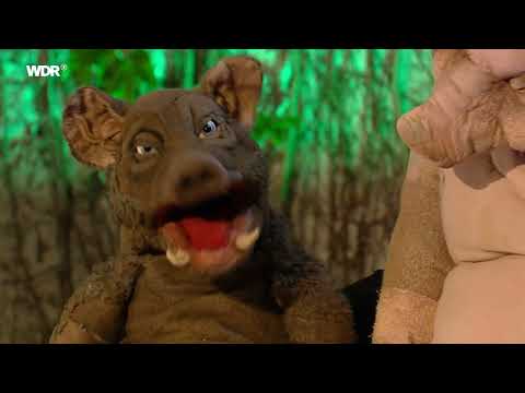 Conscription for Torsten? | The pigs "Steffi and Torsten"