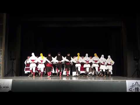 Dunav Hocheim na koncertu u Essenu 23.11.2024