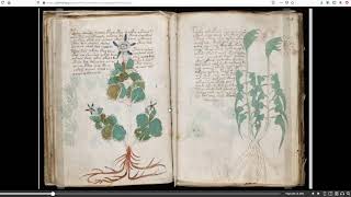 The Secret Language Of The Voynich Manuscript- Finally Found!