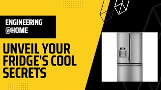Refrigerator Unveiled: Engineering at Home