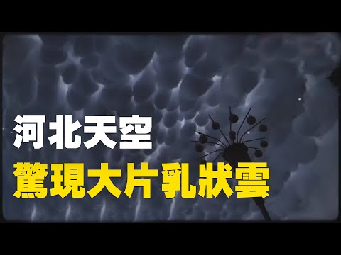 湖北乳狀雲