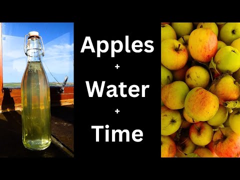 The simplest apple cider vinegar recipe