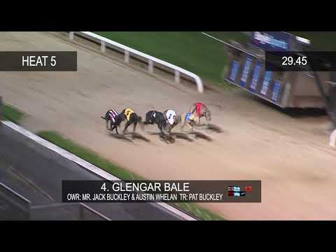 2020 Boylesports Irish Greyhound Derby Round 3