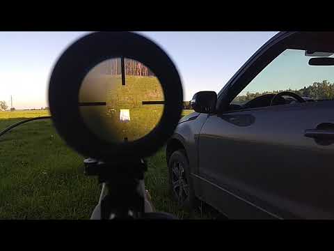 .PCP ATAMAN M2R.  Alfa Precision  .