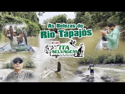 ITA SELVAGEM - Pescaria no RIO Tapajós