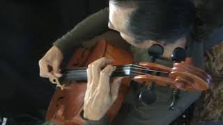 Waiting For Spring - Flying Pizzicato Etude