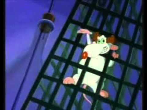 Pinky and the Brain (and Larry) Theme song