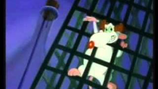 Pinky and the Brain (and Larry) Theme song