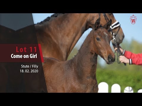 11 Come on Girl Stute v. Comme il faut - Carell