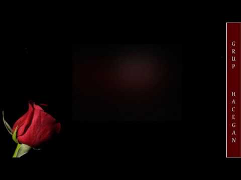 grup hacegan  hersey yolunda